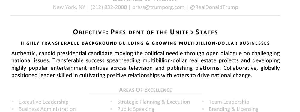 Senior Resume Professional Summary Sample Donald Trump