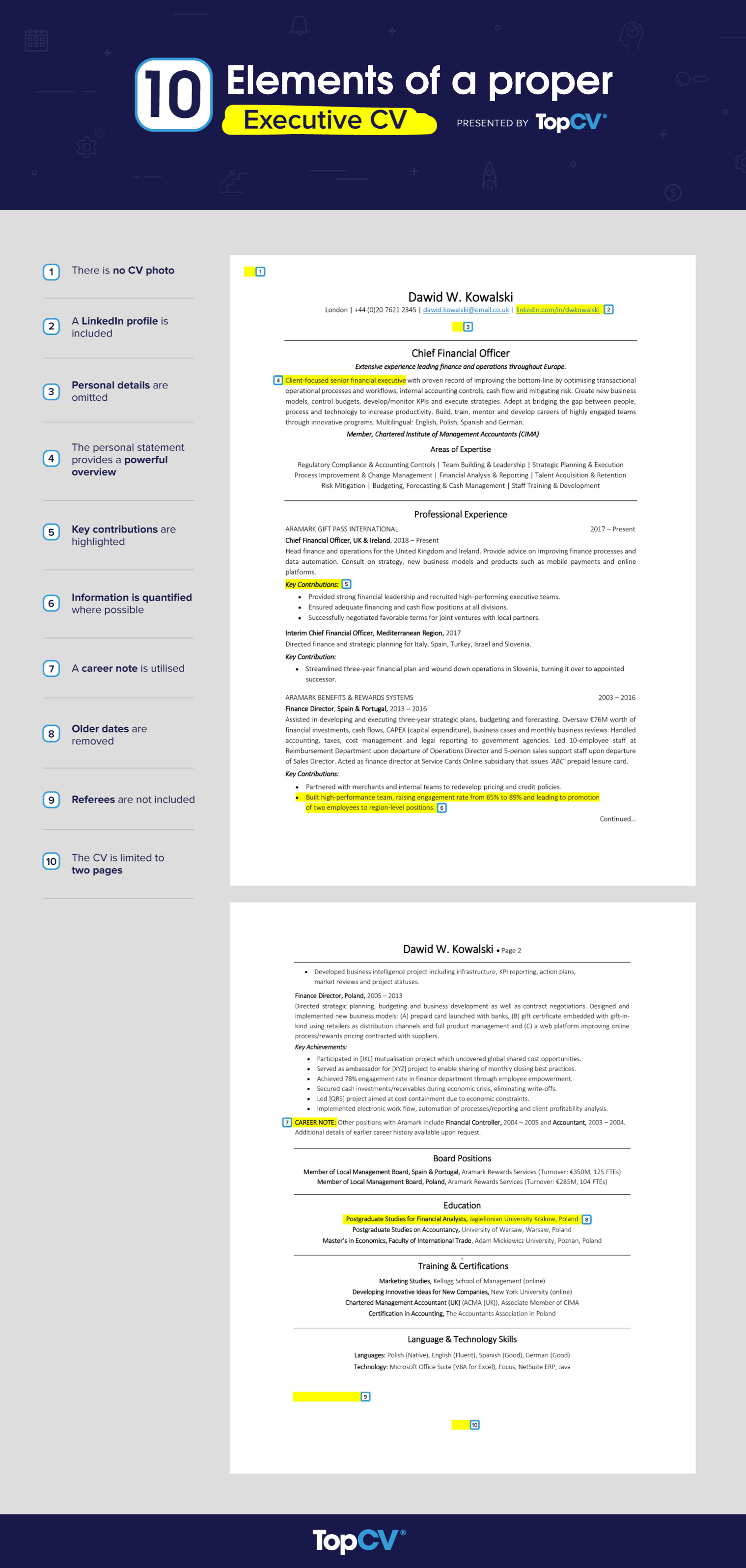 executive-cv-infographic