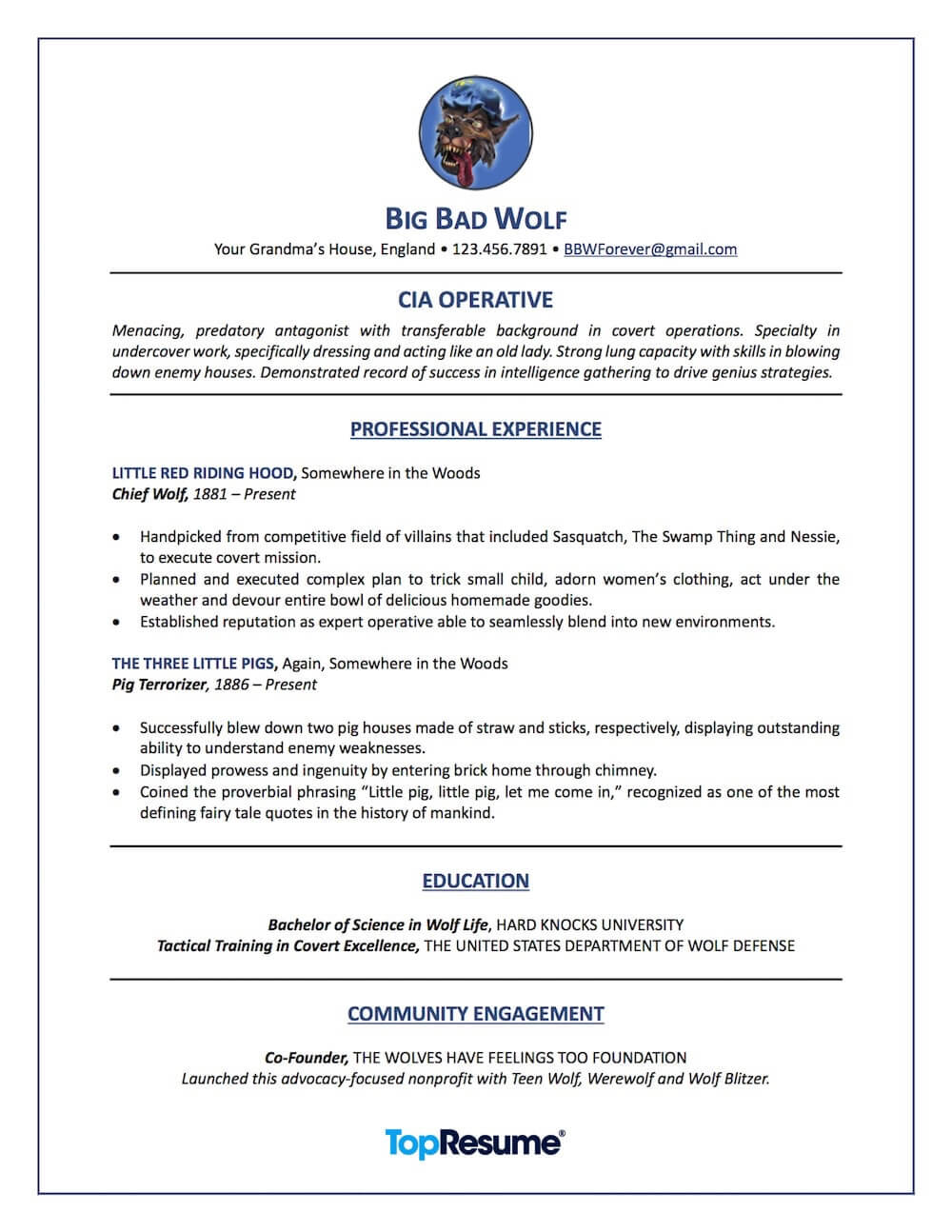 Career Change Resume Sample Big Bad Wolf