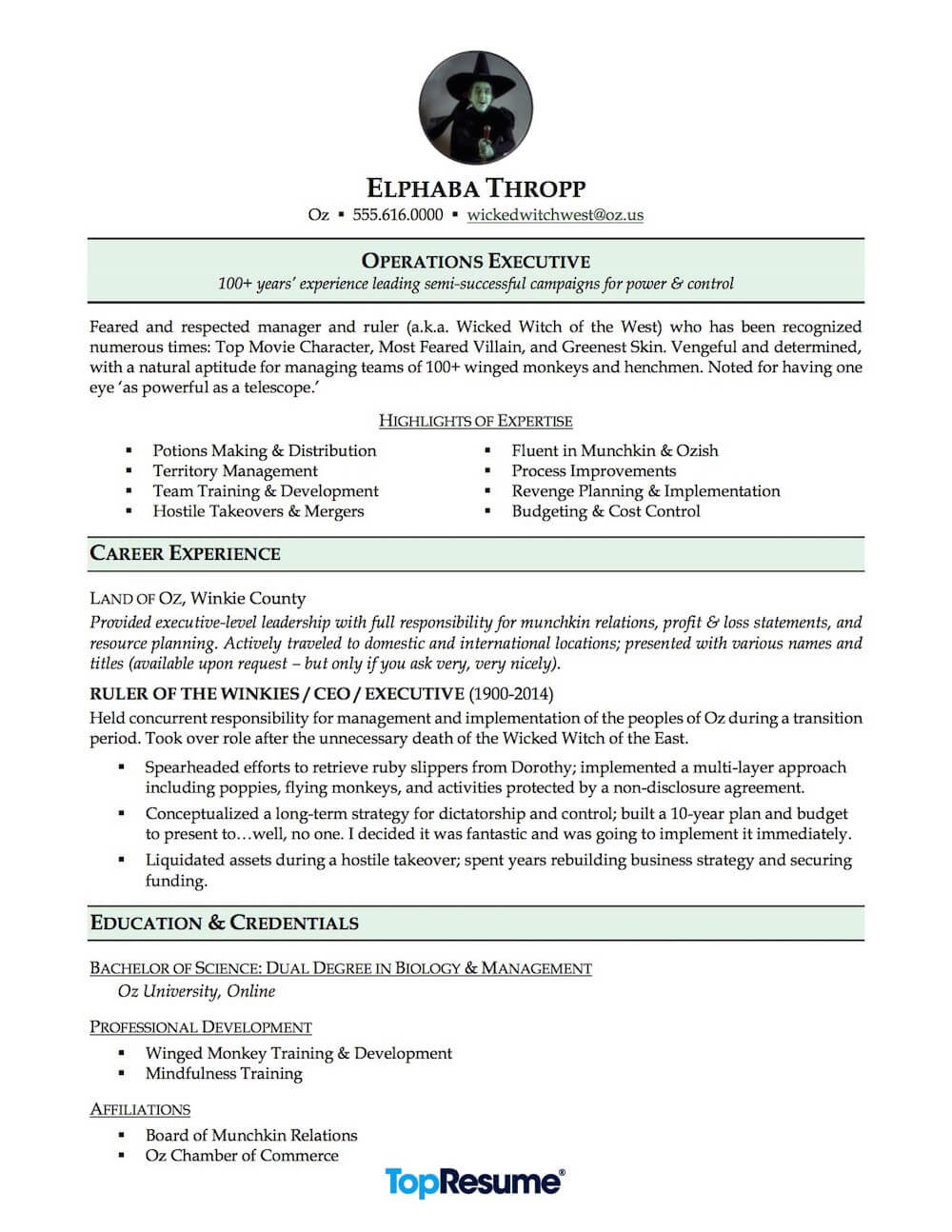 Career Change Resume Sample Wicked Witch of the West