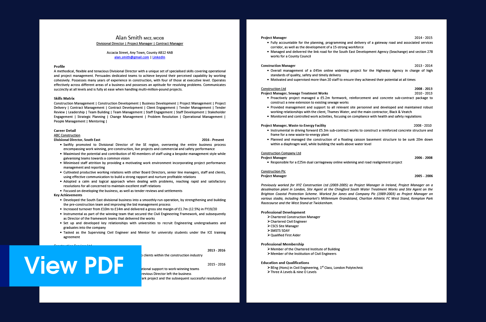 Preview image of chronological CV