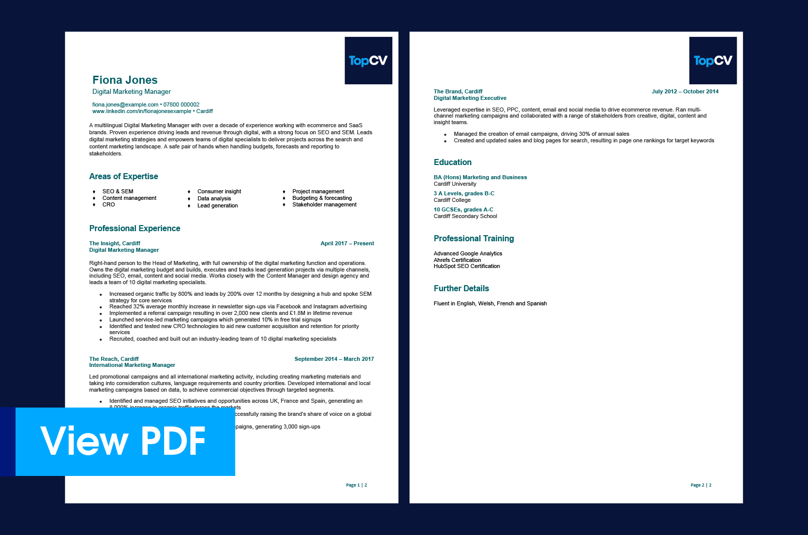Preview of TopCV marketing CV example