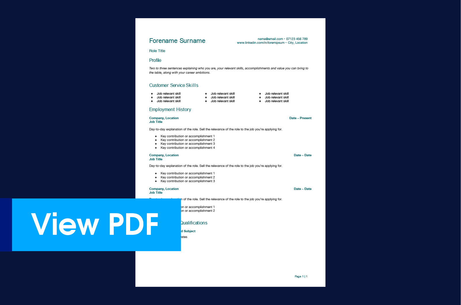 Customer Assistant CV template