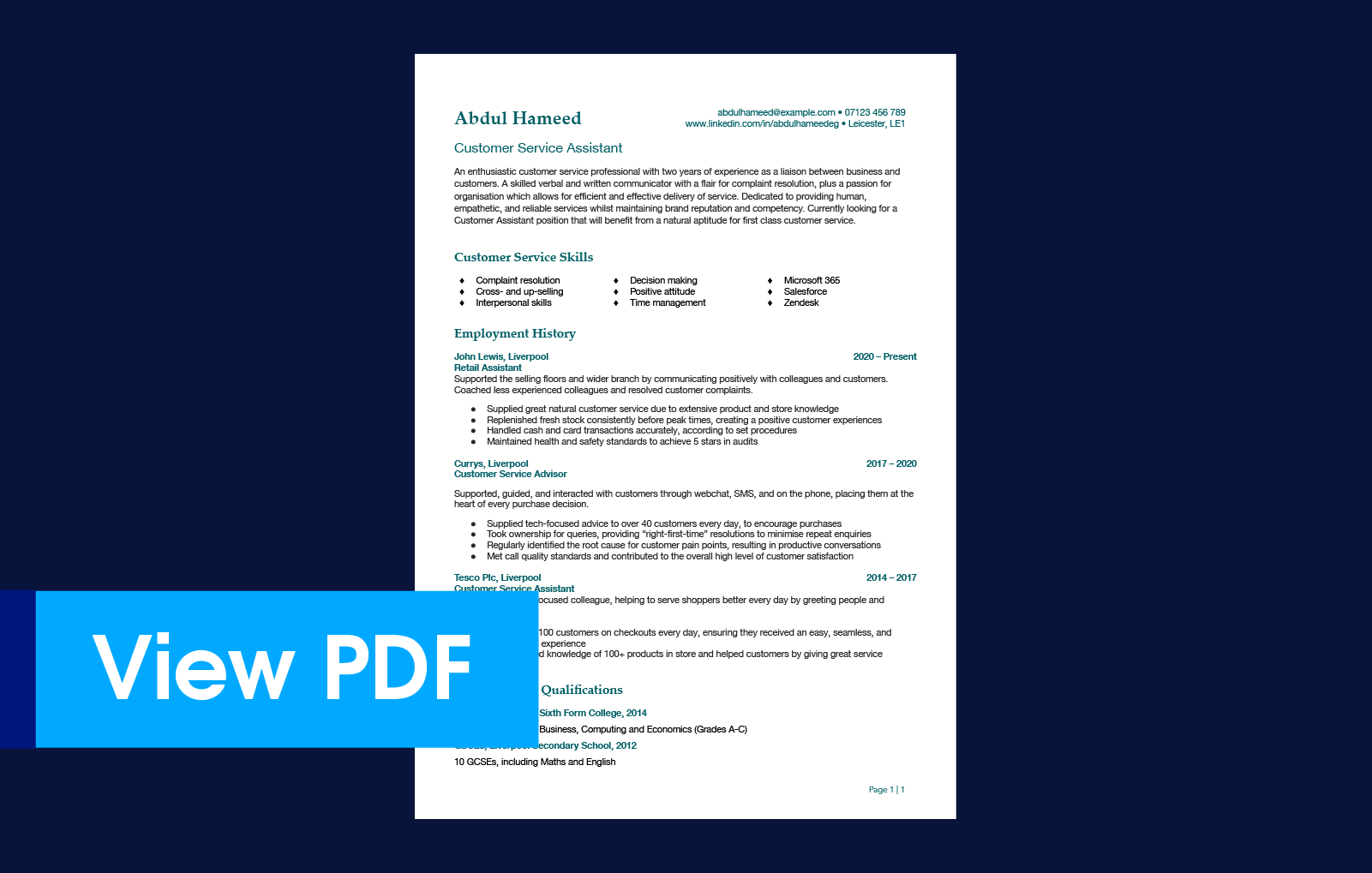 Customer Assistant example CV