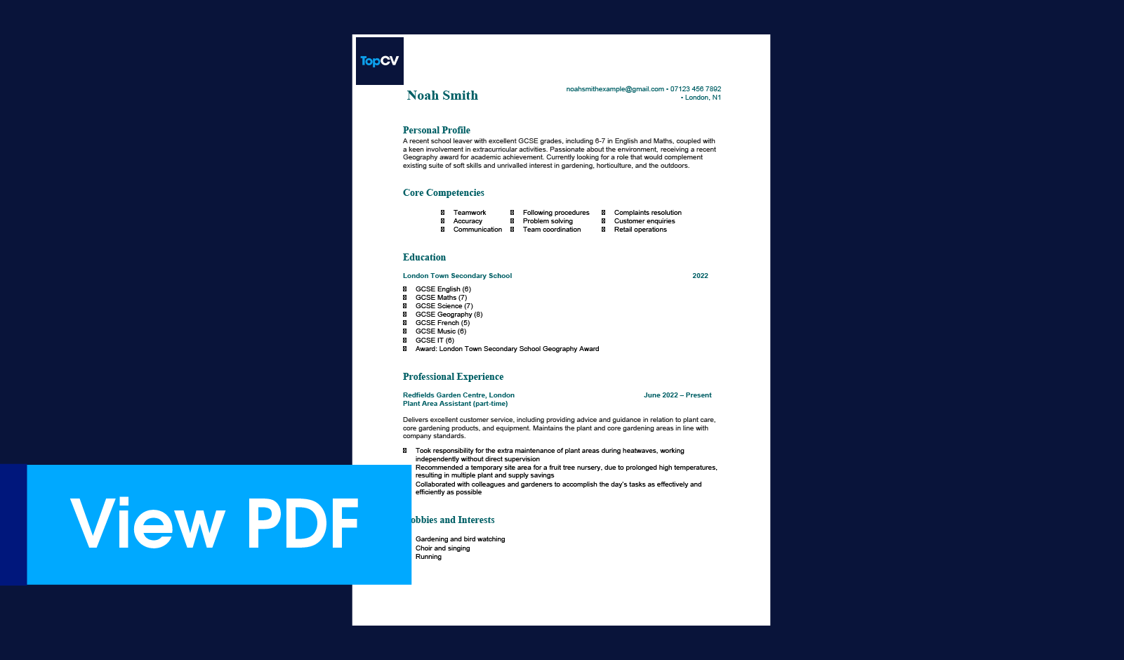 School leaver CV example